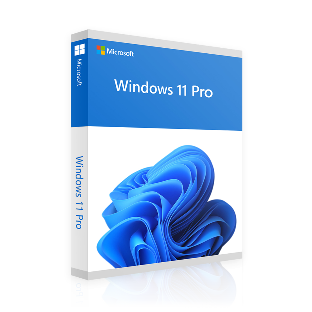 Windows 11 Professional | 2 pour 1